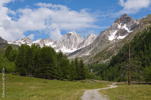 Wanderpfad photo