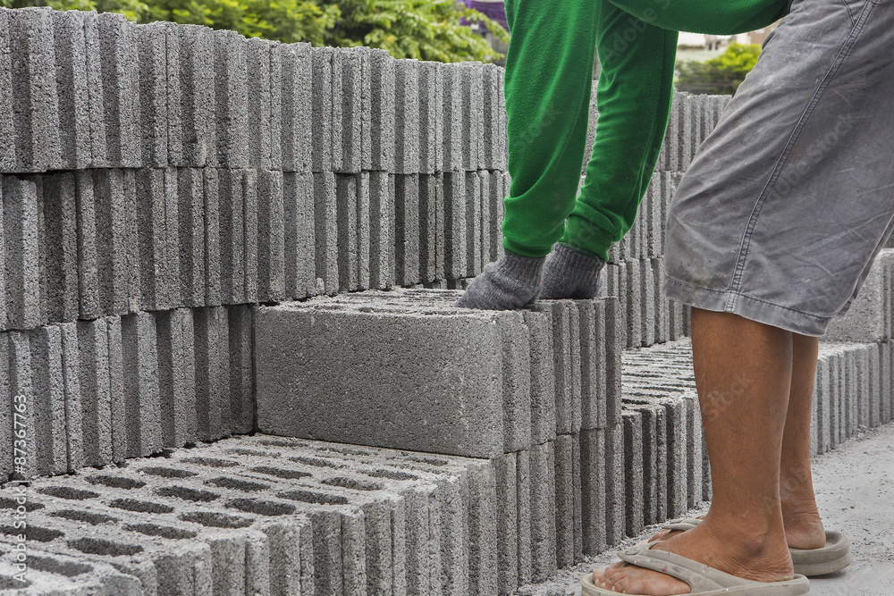 Bricks used in the construction