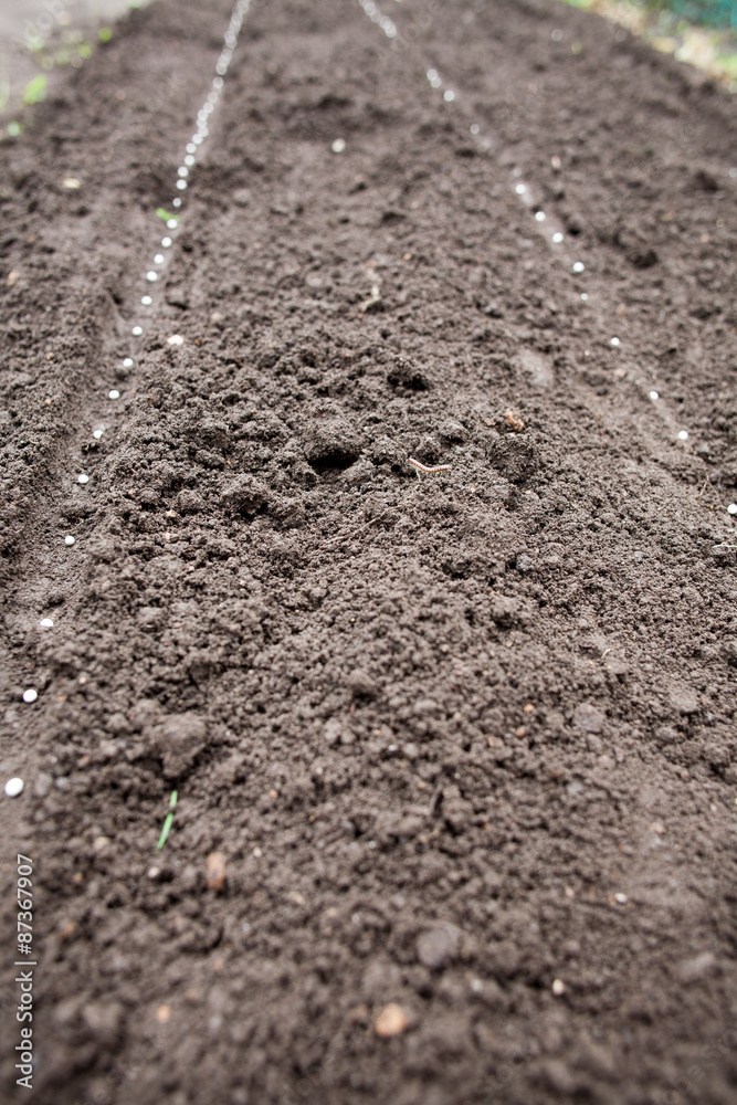 Sow seeds Sow seeds