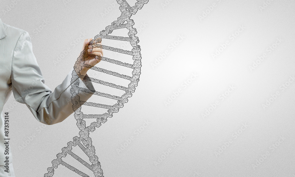 Fototapeta premium DNA molecule