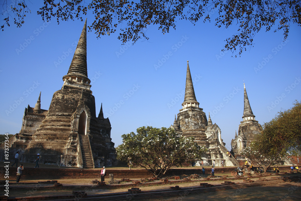 Fototapeta premium ワット・プラシー・サンペット