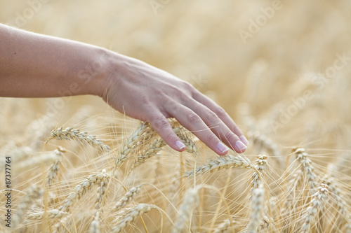 Meadow grass in the morning sun  young woman walking