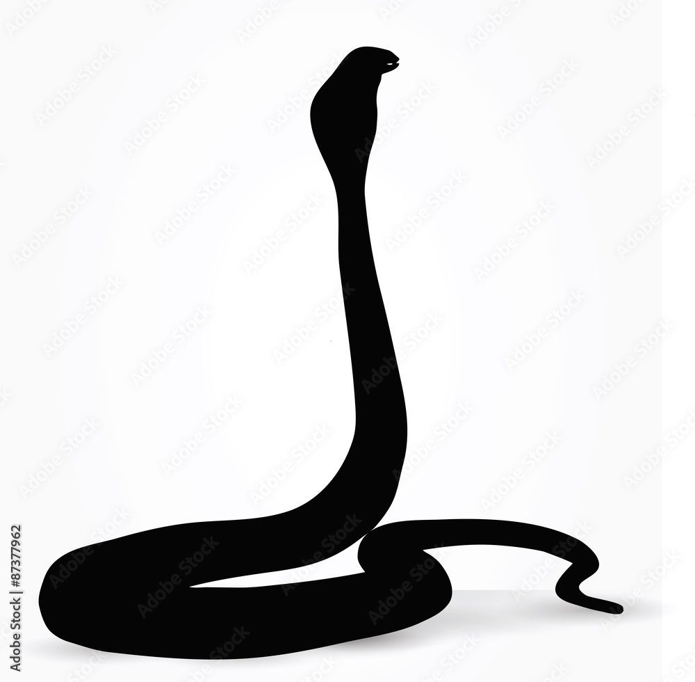 Obraz premium snake silhouette