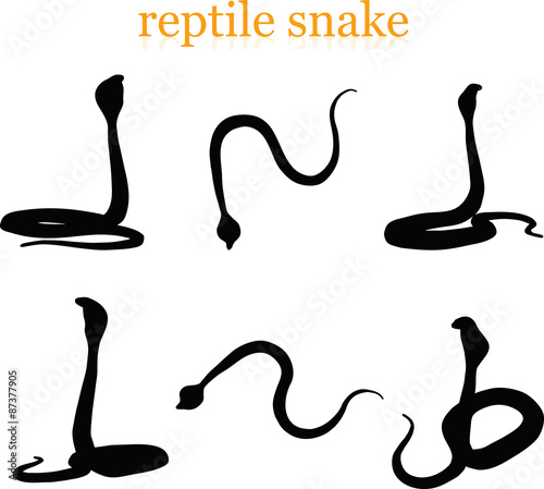 snake silhouette