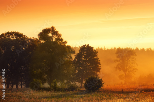 Beautiful countryside landscape on dawn. Warm morning rmeadow,