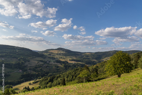 paysage des Vosges