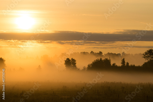 Picturesque misty sunrise landscape. Foggy morning meadow,