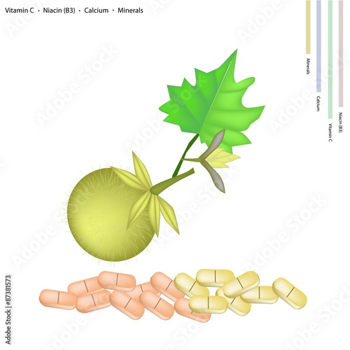 Bolo Maka Fruits with Vitamin C, B3 and Calcium