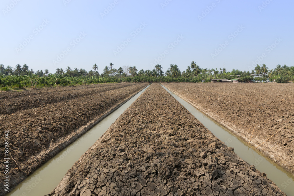 Water system working on a plantation