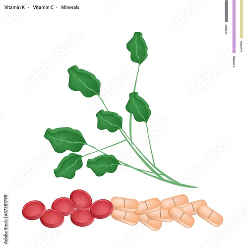 Green Watercress with Vitamin K and C photo