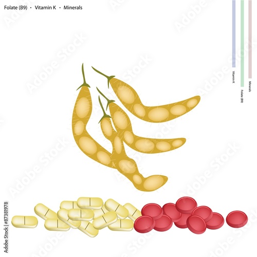 Dried Soybeans with Vitamin B, K and Manganese