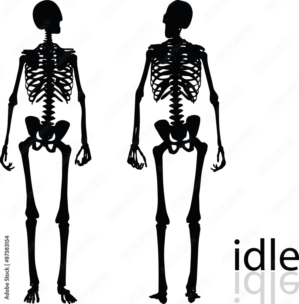 skeleton silhouette in idle pose skeleton silhouette in idle pose