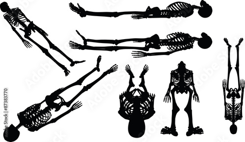 Vászonkép skeleton silhouette in supine pose