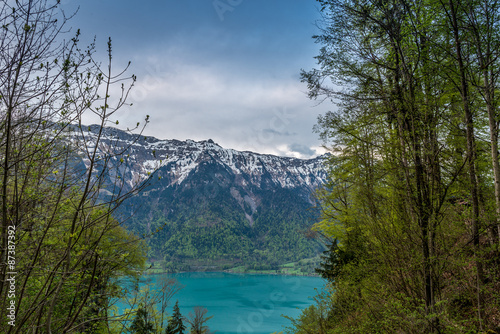 Fototapeta Naklejka Na Ścianę i Meble -  Brienz Lake, Interlaken region in Switzerland