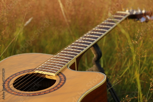 Gitarre im Gras