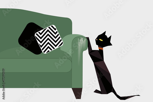 A cat scratching furniture