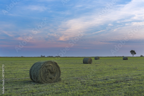 Green fodder bales