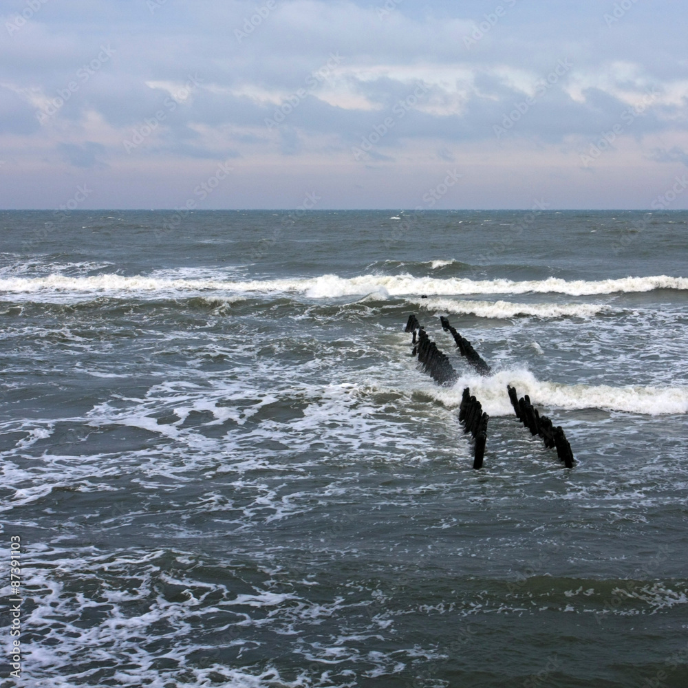 Obraz premium Baltic sea