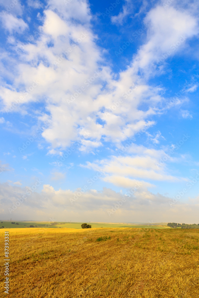 Clouds above tranquil field of harvested wheat