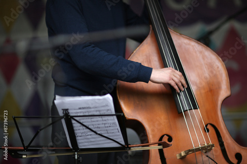 Musian's fingers on a contrabass strings photo