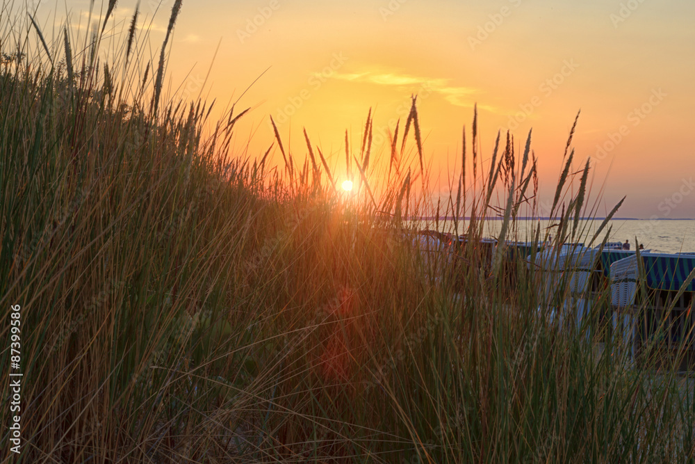 Sonnenuntergang in der Düne Sonnenuntergang in der Düne