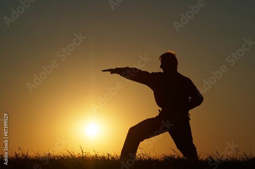 Silhouette of man in karate exercises on a grassy horizon at sunset.