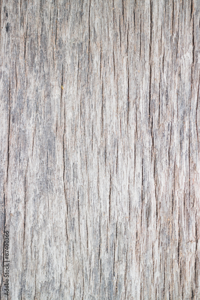 wood wood
