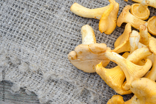 chantarelles over oak board photo