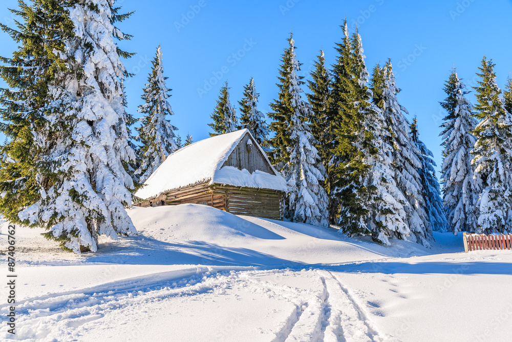 Wooden hut in forest in winter scenery of Gorce Mountains, Poland Wooden hut in forest in winter scenery of Gorce Mountains, Poland