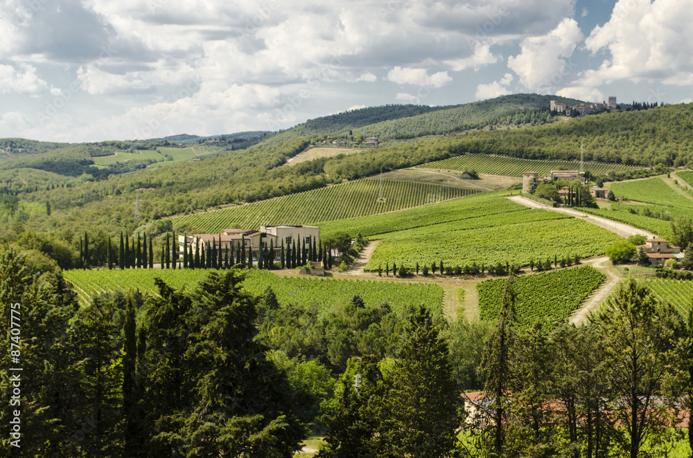 vineyards of Chianti in Tuscany