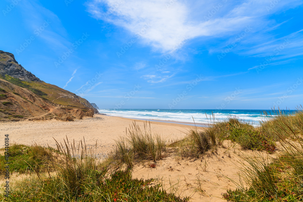 Green grass on sandy Castelejo beach, Algarve region, Portugal Green grass on sandy Castelejo beach, Algarve region, Portugal