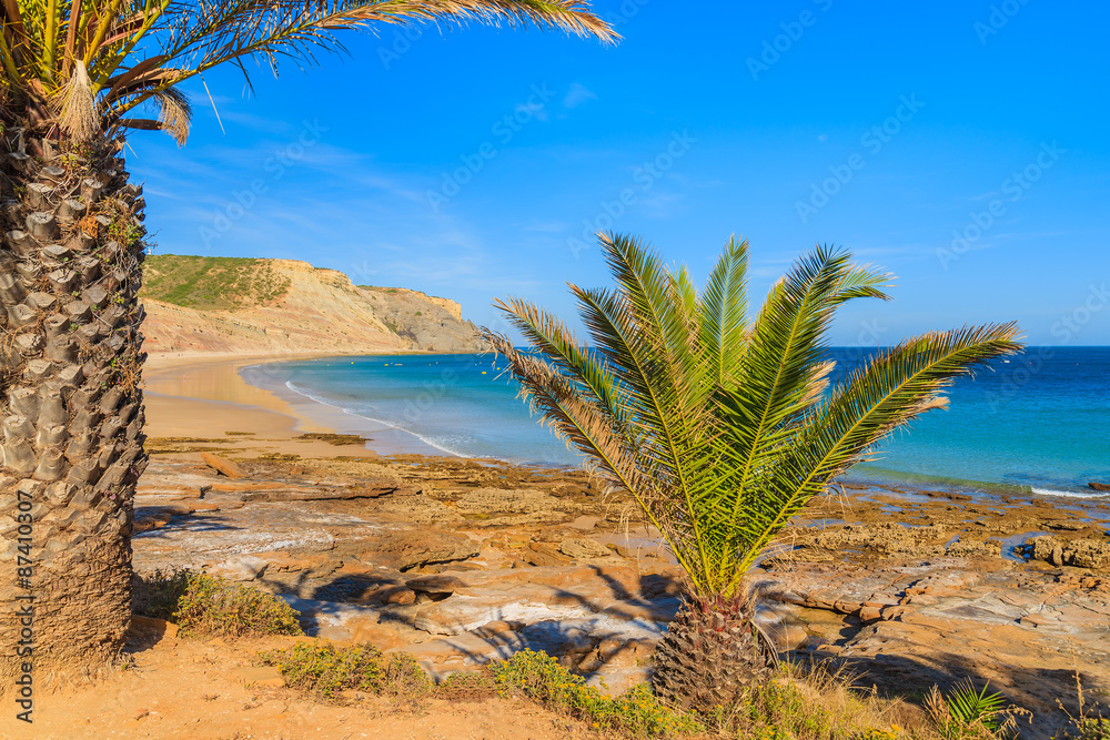 Palm trees with azure sea in background in Luz town on coast of Algarve region, Portugal Palm trees with azure sea in background in Luz town on coast of Algarve region, Portugal