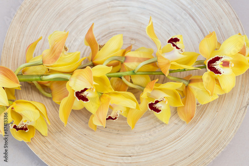 Yellow cymbidium orchids on wood plate