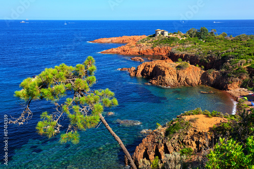 Esterel, tree, rocks beach coast and sea. Cote Azur, Provence, F photo