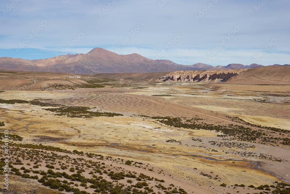 Large open plain created by the River Lauca in Lauca National Park, high up in the Altiplano of northern Chile. The area is used by local people for grazing Alpaca and Llama.