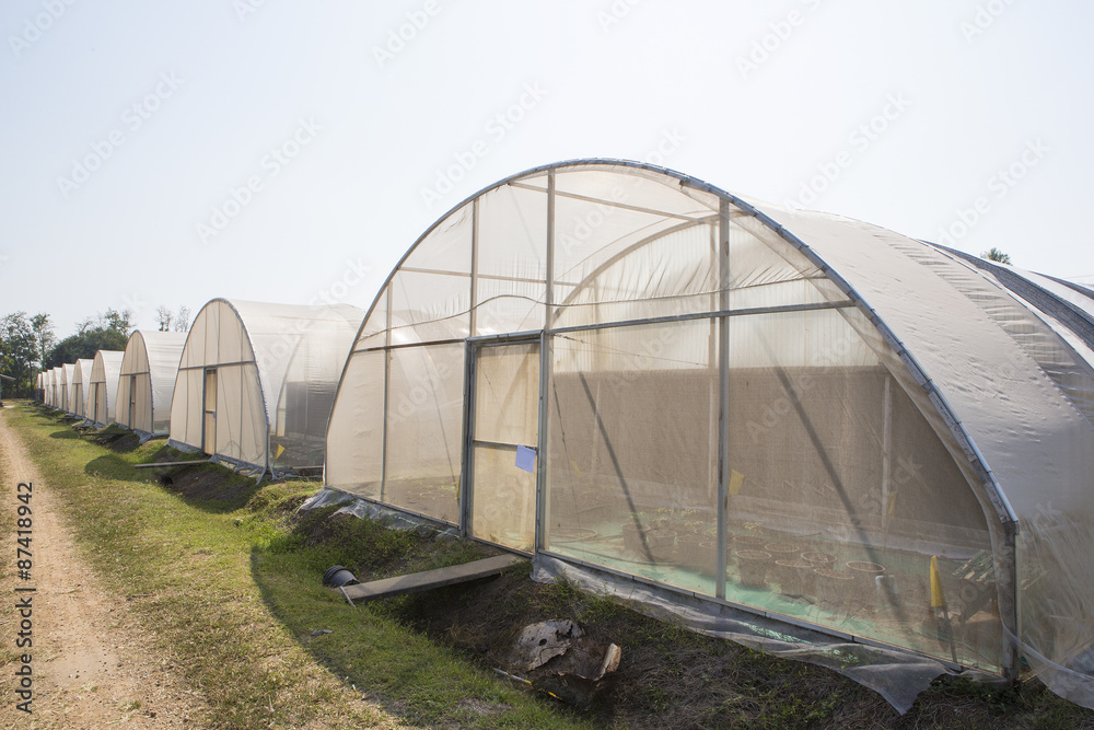 Greenhouses growing vegetables on background sky outdoors Greenhouses growing vegetables on background sky outdoors