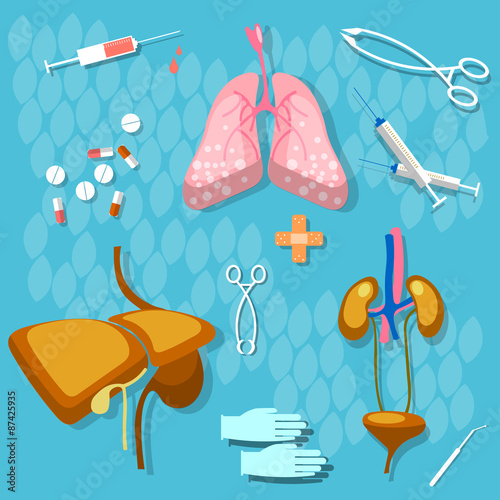 Medicine: human anatomy, examination transpatologiya