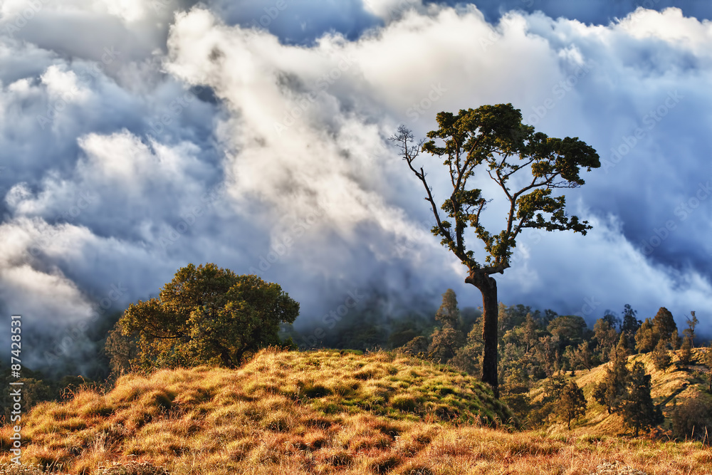 Obraz premium Clouds and landscape on Rinjani