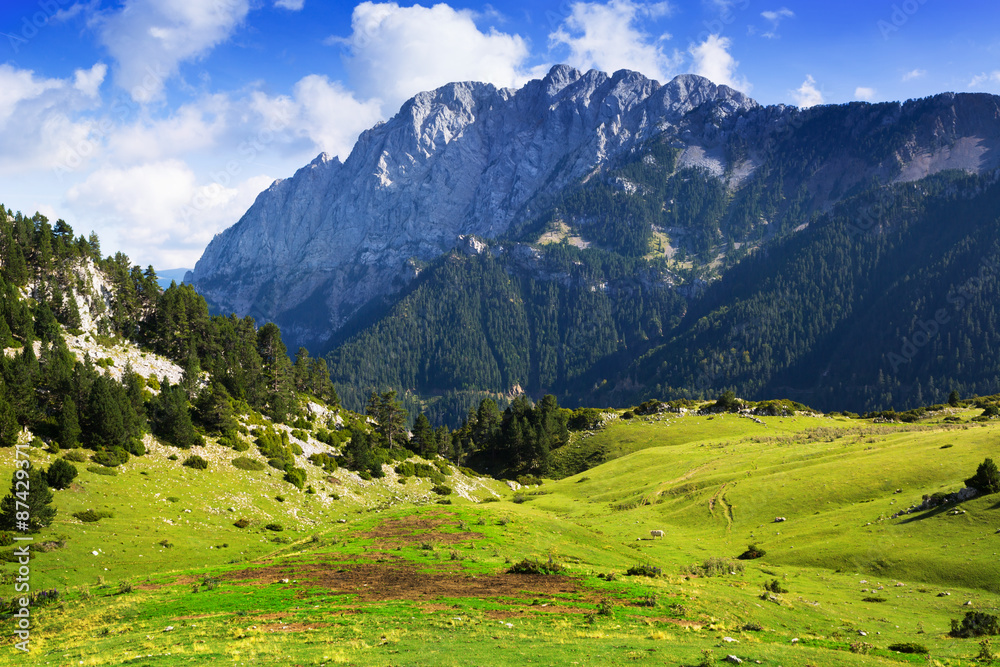 Mountain meadow against rock mount