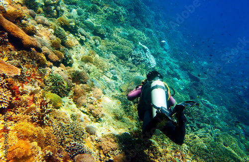 Underwater landscape