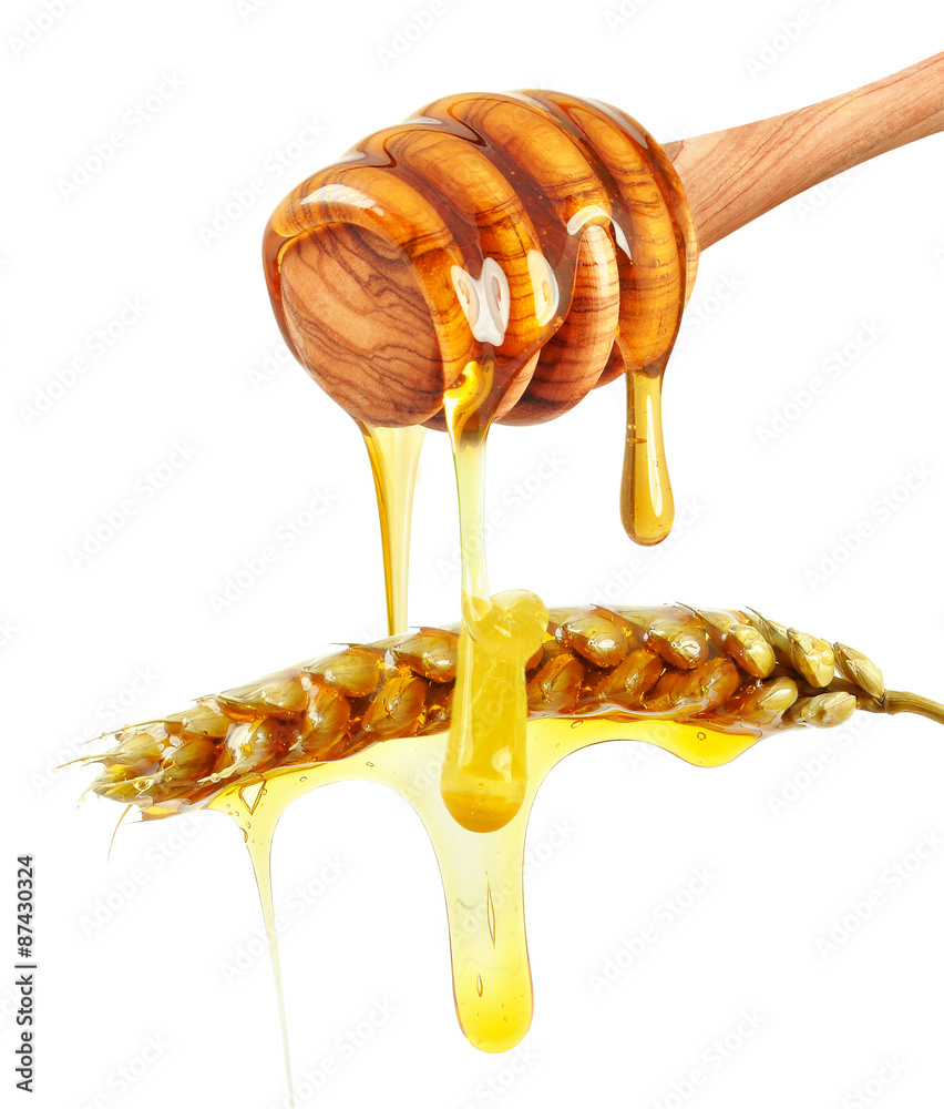 ear and honey ear and honey