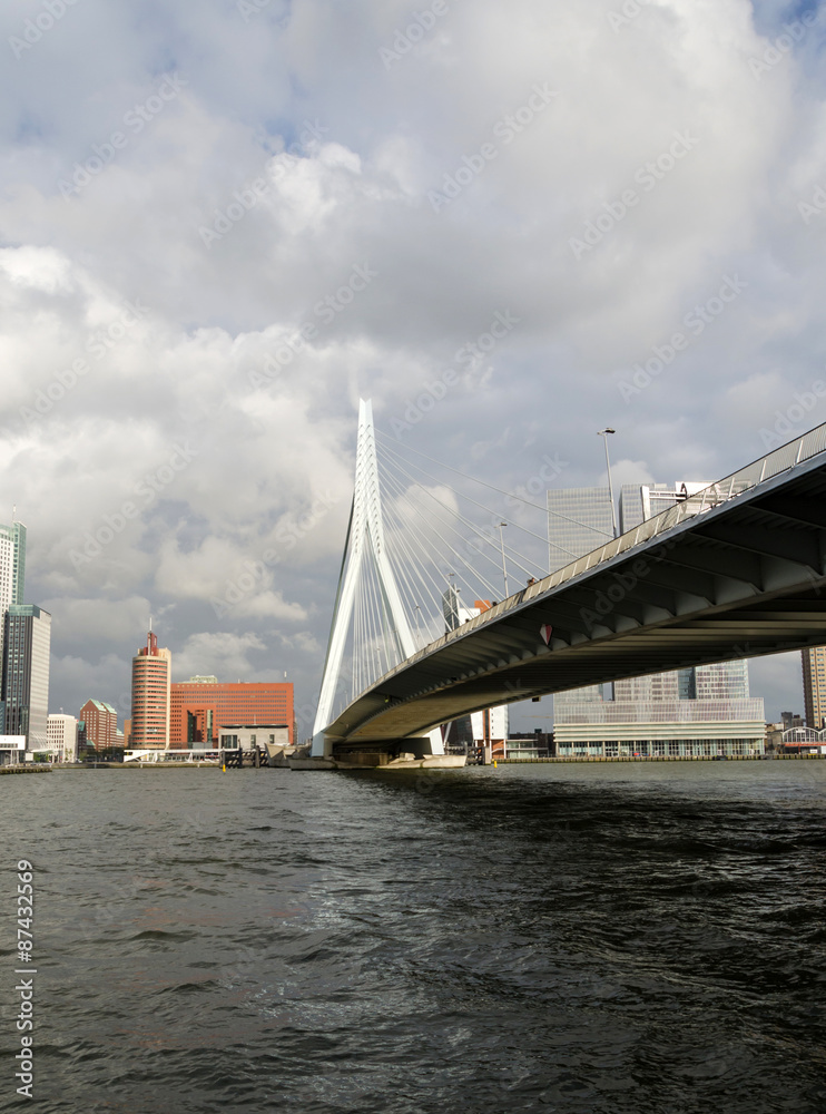 Obraz premium Erasmus Bridge in Rotterdam