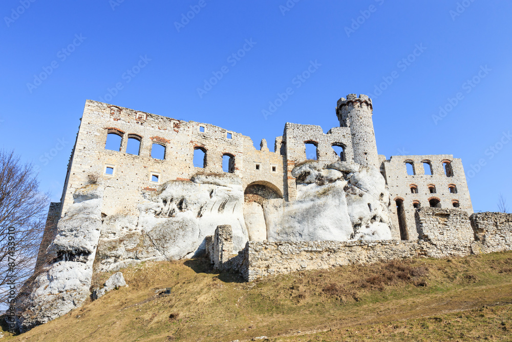 Ogrodzieniec Castle, Poland.