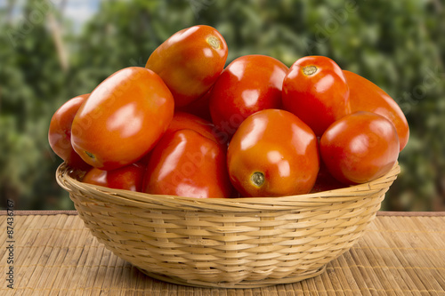 Some tomatoes over a wooden surface on a tomato field as backgro