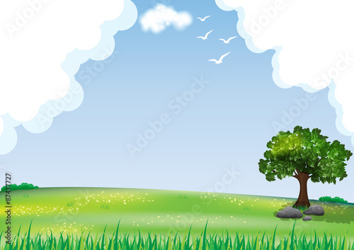 Natural landscape background,Tree in the meadow and a cloudy sky.