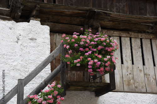 fiori fioriere montagna geranio antico decorazione casa