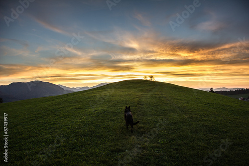 Sunset on a Hill with Dog