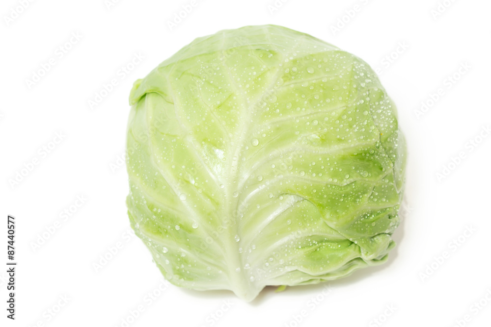 Obraz premium One whole cabbage on white background.