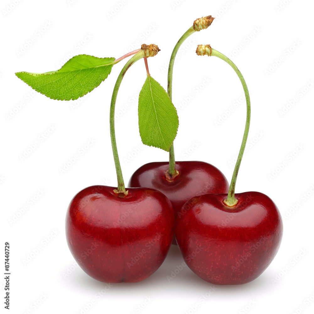 cherry