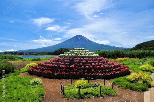 Wallpaper Mural 富士山と大石公園 Torontodigital.ca